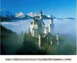 德國貴族奶粉特福芬 媽媽安心之選