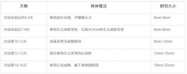 各階段排卵期卵細胞對照表(排卵期卵細胞每日增大多少)